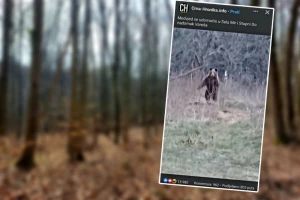 Ajde ruča moj medo, neće tebe tvoj Pavo dirat - pogledajte snimak iz sela kod Vareša