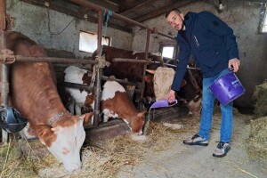 Nakon gašenja porodične farme, Stefan je oživio imanje i vratio život u štale