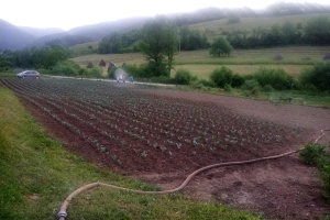 Čeka nas smjena kiše i sunca - zašto redovno obilaziti usjeve?