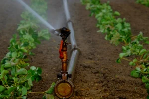 Projekt navodnjavanja u Sanskom Mostu