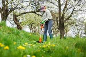 Ne kosite travu u voćnjacima, dajte korisnim insektima šansu