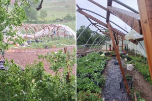 Nevrijeme pričinilo velike štete: "Plastenik je raznesen kao da ga je granata pogodila"