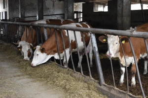 Proizvodi šumarstva i stočarstva premašili očekivanja u RS