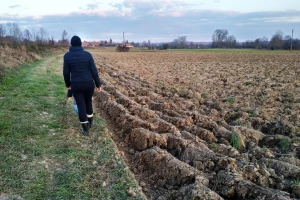Kako se ponašaju azot, fosfor i kalijum u zemljištu?