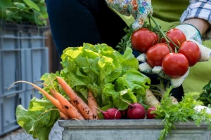 Francuska jedina primjenjuje strategiju "od farme do viljuške" - farmeri zadovoljni