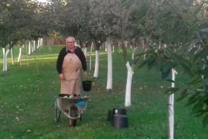 U deset godina spasili od izumiranja 1.400 sorti starih voćaka