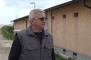 Farma daleko od drugih, ali strah od ptičije gripe isti: "Ne možemo spriječiti let ptica"