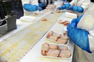 Preventivna kontrola piletine na salmonelu