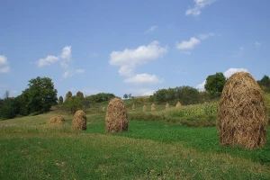Kako najbolje sačuvati sijeno za zimu?