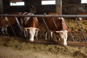 Podnesite zahtjev za podršku po modelu ruralnog razvoja