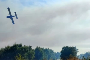 Požar progutao maslinike, vinograde i štalu, jedan vatrogasac ozlijeđen