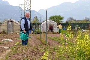 Prevrtljivo vrijeme pogodovat će bolestima i štetočinama: Prijeti i mraz