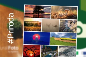 RuralFoto - ovo je TOP 10 fotografija iz kategorije #priroda