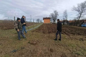 Proizvodnja kornišona bez početnih ulaganja: Otvoren poziv za nove kooperante