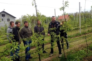 Mladi, otvorene su prijave za treći ciklus projekta Iuvenes Fructus