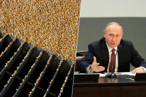 Rusija će kontrolirati izvoz žitarica? Putin: Gledajte šta se događa u Evropi