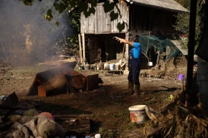 U Fojnici ostali bez stočne hrane, kamion kukuruza poslan iz Odžaka