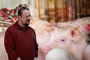 Rimac pojasnio strategiju: Kako uzgajati prasad bez antibiotika?