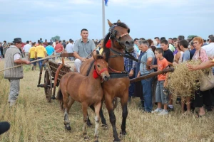 Tradicionalna Rogoljska žetva održava se deveti put
