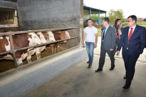 Hrvatska cijepi goveda protiv kvrgave kože, a mi?