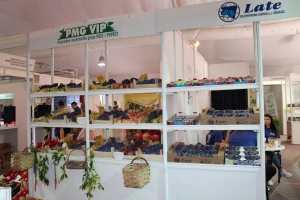 U toku završne pripreme za početak 49. Sajma šljive