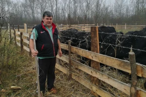 Savo Ugren: Uzgajanje angusa se dobro isplati, tržište je neograničeno
