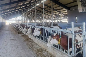 Savremena štala farme "Marena": Kad roboti farmom zapivaju, kapije se širom otvaraju