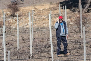 U prvoj polovini decembra anketiranje poljoprivrednika u Republici Srpskoj