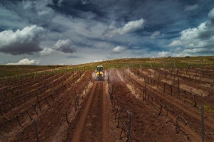 Kalcizacija i popravka zemljišta za budući vinograd