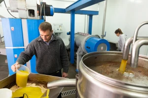 Španci traže da se stane na kraj lažnom maslinovom ulju: "Šutimo već 40 godina"