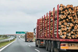 Bez krčenja šuma: Kako će se bh. izvoznici drveta prilagoditi EUDR pravilima?