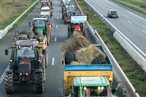 Prijete "paralizom" zapadne Evrope ako im se ne ispune zahtjevi - šta traže francuski farmeri?