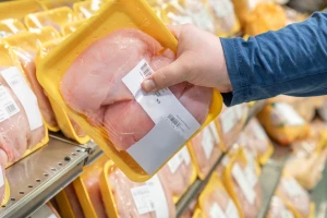 U pilećim prsima iz BiH otkrivena salmonella enteritidis