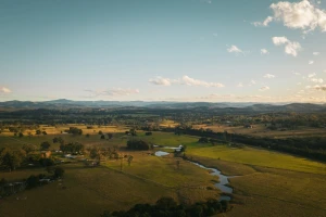 Rekordna prodaja u Australiji: Ko je kupio milion hektara i stado od 90 hiljada grla?