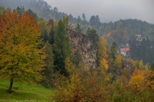 Prijavite se na prvu stručnu konferenciju o očuvanju tla i šuma u BiH