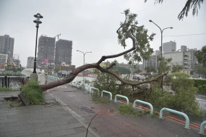 Rekordne padavine na Tajvanu: Mjesec dana od udara tajfuna, kiša ne prestaje