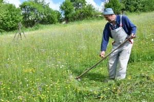 Bez kiše lakši radovi, ali i veća briga za usjeve: Prijeti li suša?