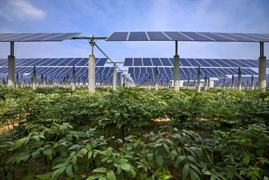 solarni paneli