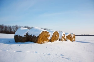 Stabilno do sredine sedmice, a onda stižu nove padavine