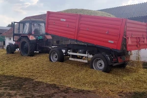 Kako u najkraćim crtama treba da teče postupak siliranja kukuruza?