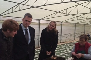 Lokalne žene proizvode sadnice smilja i destiliraju ulje