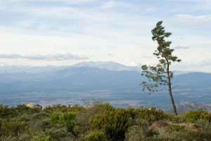 Derat će nas olujni udari juga, smirivanje vremena tek iza nedjelje