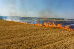 Španija: Lokalni gradonačelnik kombajnirao pa zapalio žito? Vatra progutala više od 26.000 hektara