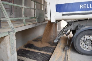 FBiH po prvi put dobija pravilnik o kvaliteti pšenice za otkup