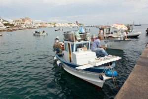 Anonimni ribar darovao srdele siromašnima