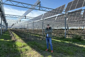 Struja s njive: Kako funkcionišu agrosolari i zašto ih nema u BiH?