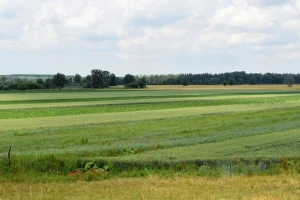 Revizorski sud: Poticaji za bioraznolikost premali - u 10 godina EU nije napravila ništa?