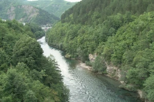 Danas je njihov dan - čuvajmo naše šume!