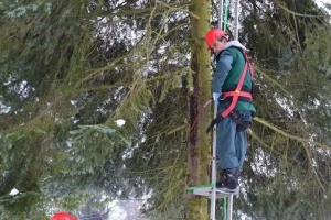Obučeni novi berači šumskog sjemena
