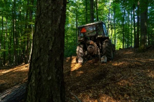 Traktor se prevrnuo tokom sječe stabala na Lisini, jedna osoba stradala